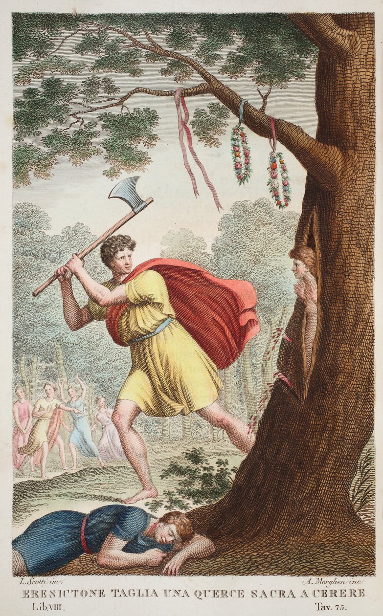 Erysichthon büszkesége vagy Eresictone Taglia una Querce sacra a Cerere, VIII. könyv, illusztráció Ovidius Metamorfózisaiból, Firenze, 1832 (kézzel színezett metszet) alkotó: Luigi Ademollo