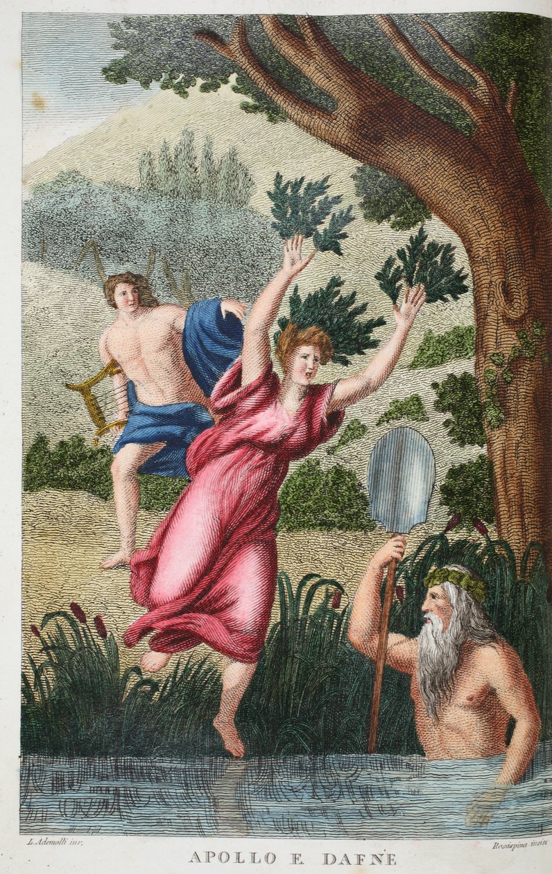 Phoebus és Daphne vagy Apollo e Dafne, illusztráció Ovidius Metamorphoses című művéből, Firenze, 1832 (kézzel színezett metszet). alkotó: Luigi Ademollo