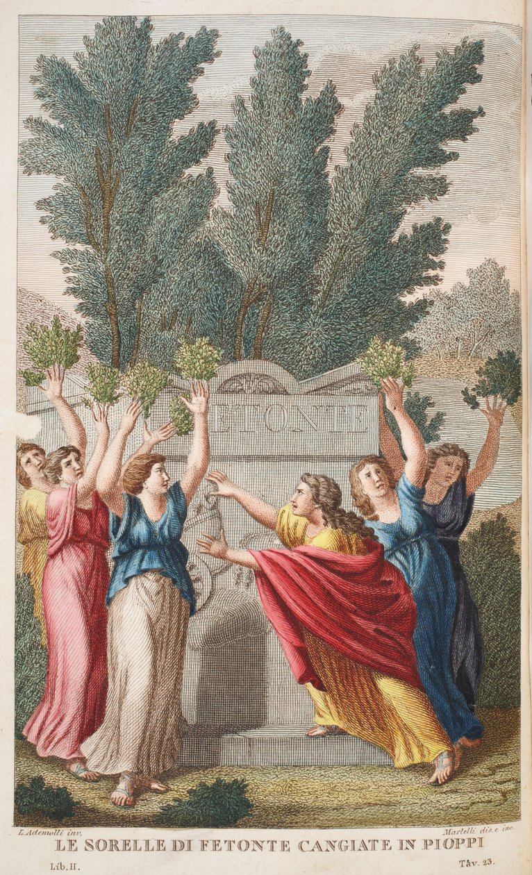 Heliák a fákba, amelyek borostyánt hoznak vagy Le Sorelle di Fetonte Cangiante Pioppiban, illusztráció Ovidius Metamorphoses című művéből, Firenze, 1832 (kézzel színezett metszet) alkotó: Luigi Ademollo