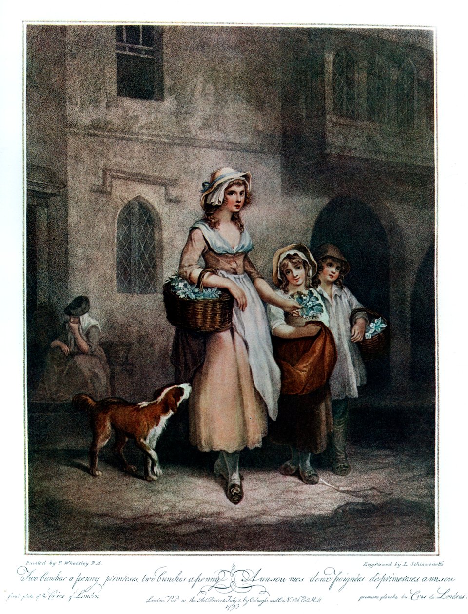Két csomó egy fillért kankalin, két csomó egy fillér, 1793, 1910 alkotó: Luigi Schiavonetti