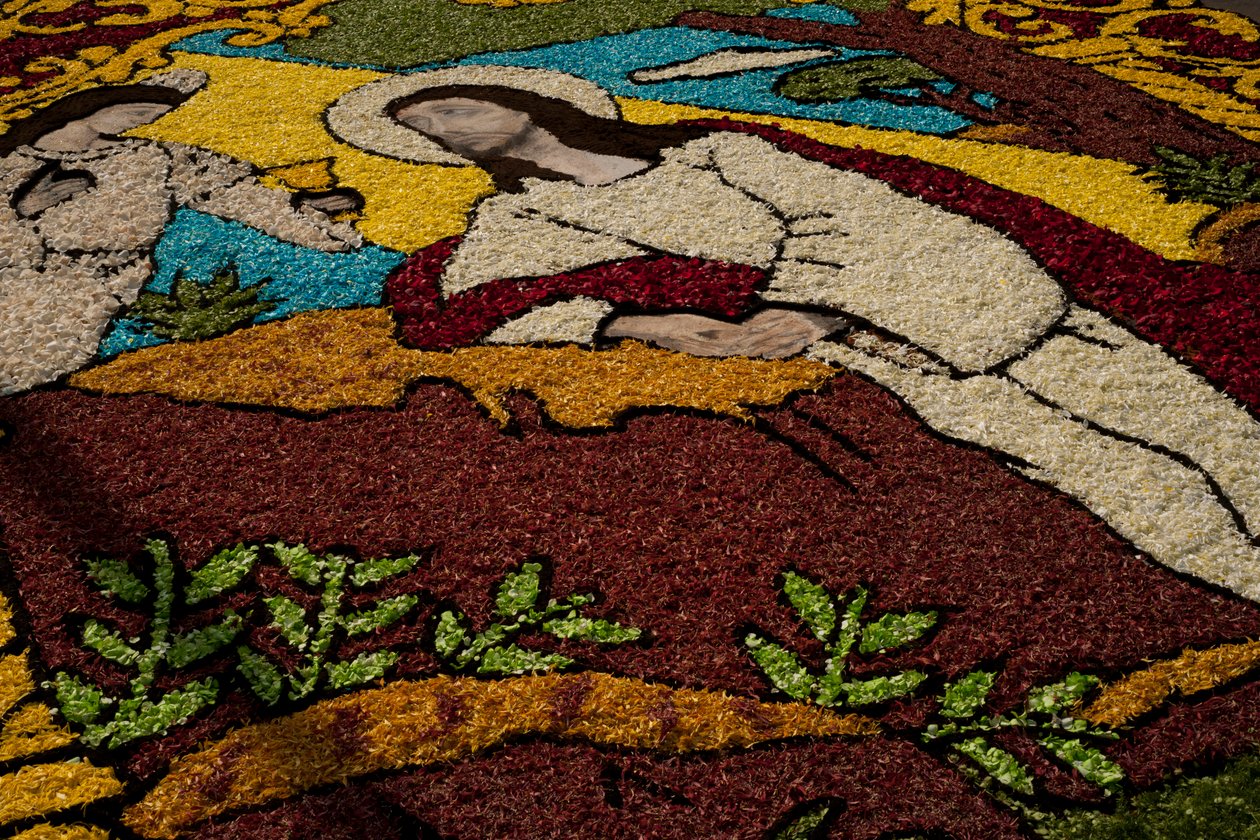 Nagyhét Surco virágszőnyeg, Lima, Peru, 2015. alkotó: Luis Rosendo.