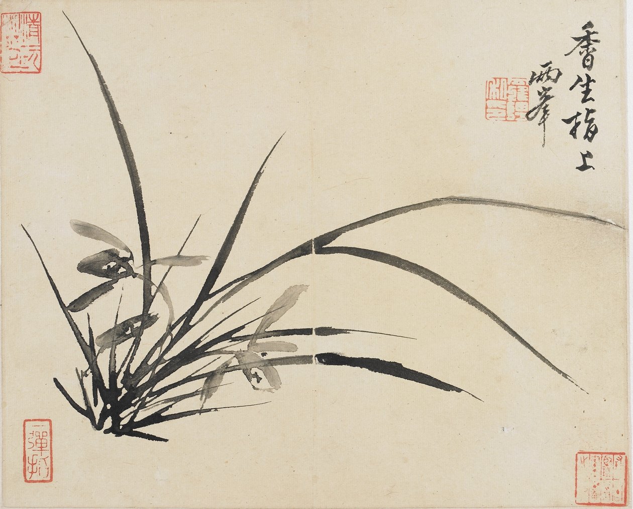 Tájképek, virágok és madarak: orchidea, Qing-dinasztia, 1780 (tinta papíron) alkotó: Luo Ping