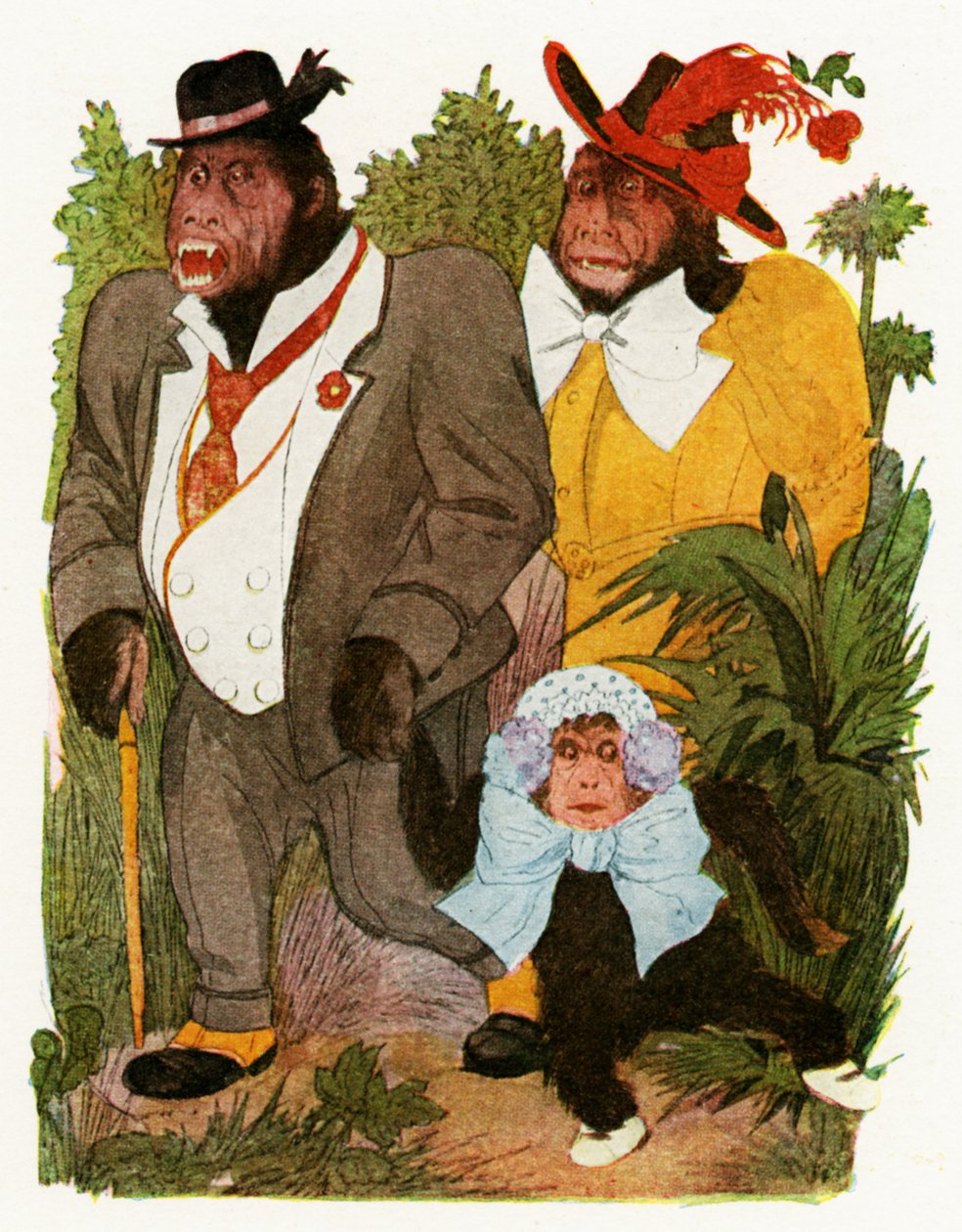"Baby Gorilla", 1913 alkotó: Martin Ross
