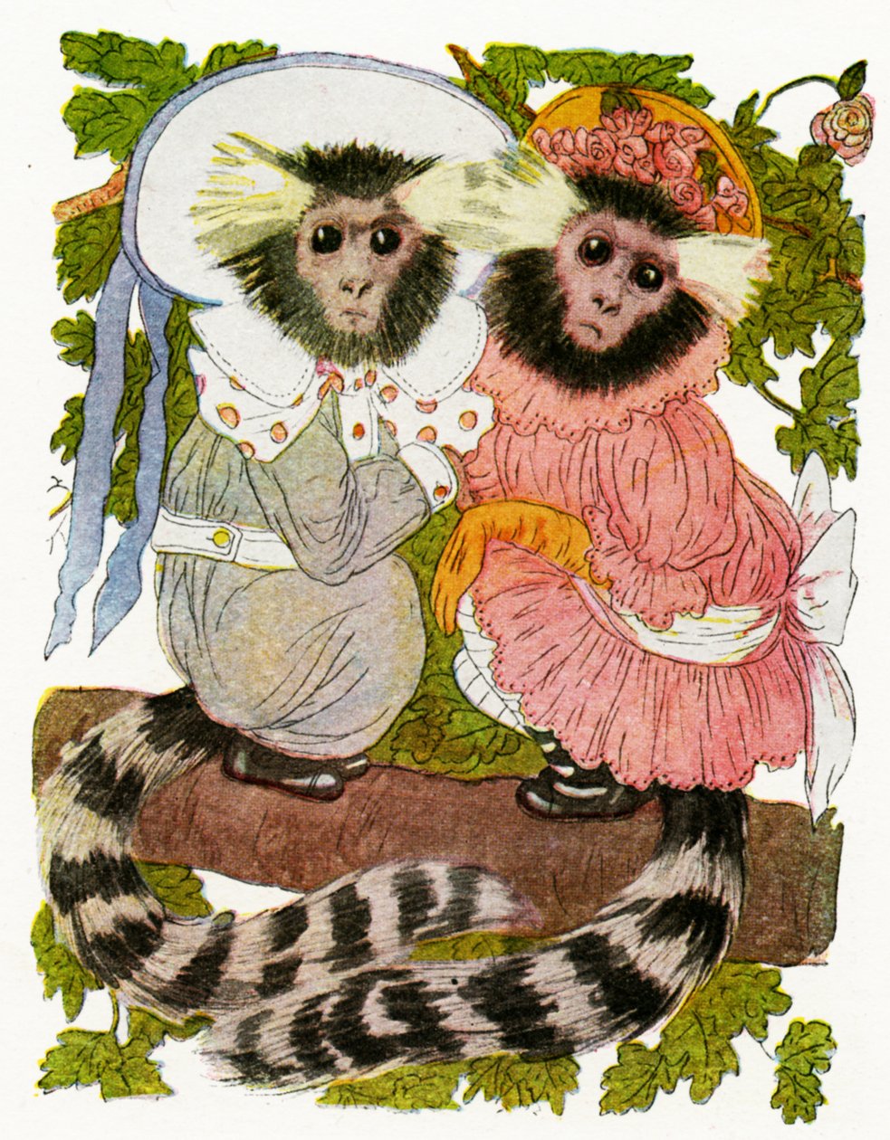 "The Marmoset Twins", 1913 alkotó: Martin Ross