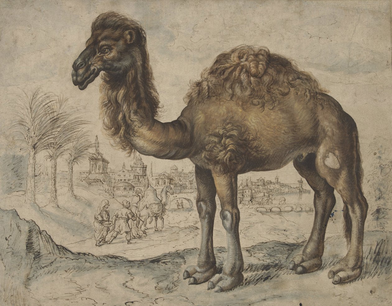 Dromedár keleti tájon egy várossal, 1600 (tinta és ecset papíron) alkotó: Maarten de after Vos
