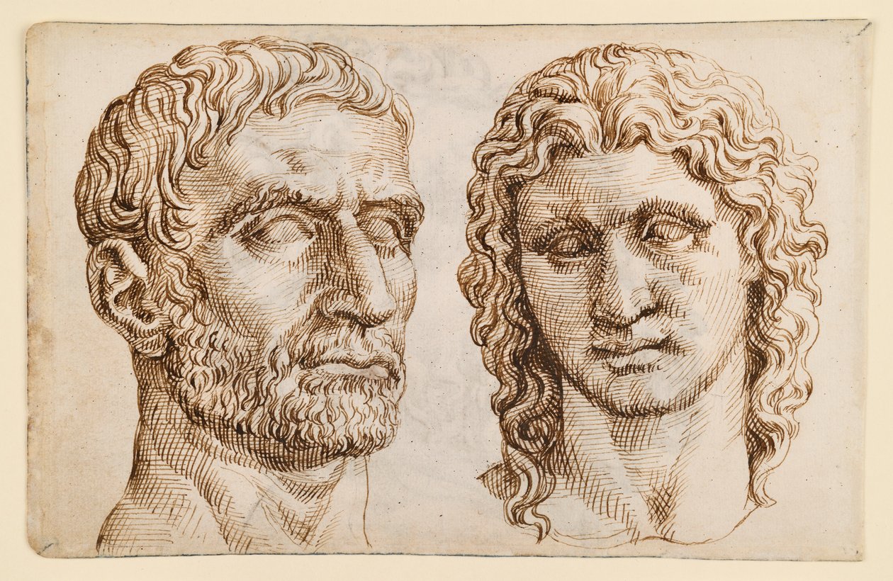 Egy idős férfi feje, egy ifjú feje alkotó: Maarten van Heemskerck