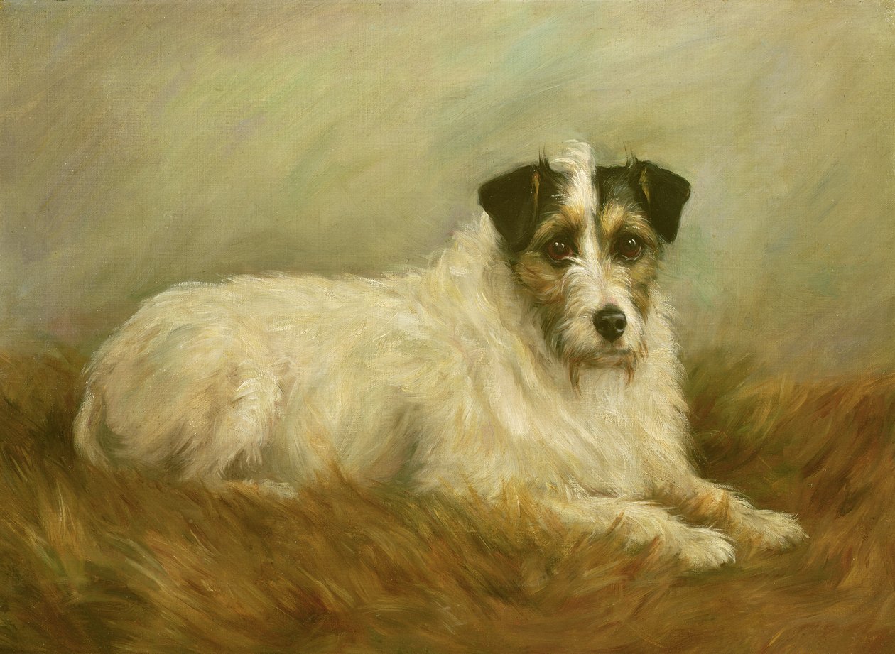Terrier alkotó: Mabel Hastings