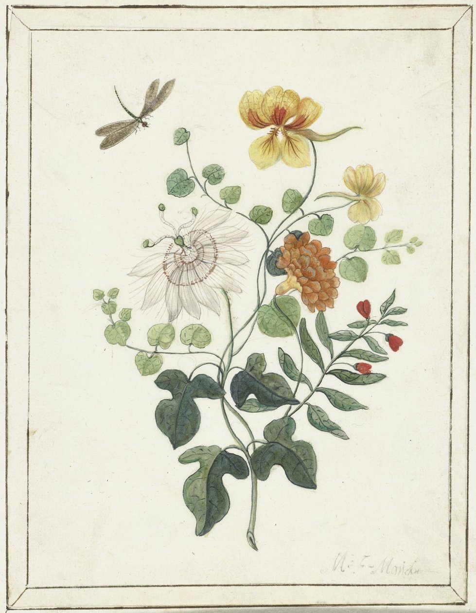 Still Life of Flowers   1374500   hu       hungarian Successfully Translated  Original: Jean-Baptiste Colbert Translat: Jean-Baptiste Colbert 1253181 hu hungarian Successfully Translated Original: View of Ariccia Translat: View of Ariccia 1276997 hu hungar alkotó: Machtelt Moninckx
