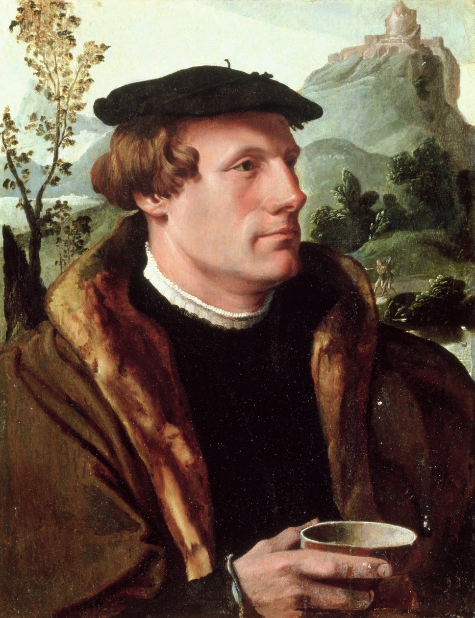Egy úriember portréja alkotó: Maerten van Heemskerck