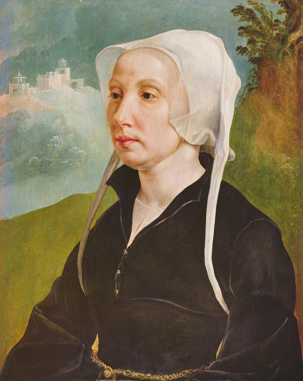 Női portré (olaj, panel) alkotó: Maerten van Heemskerck