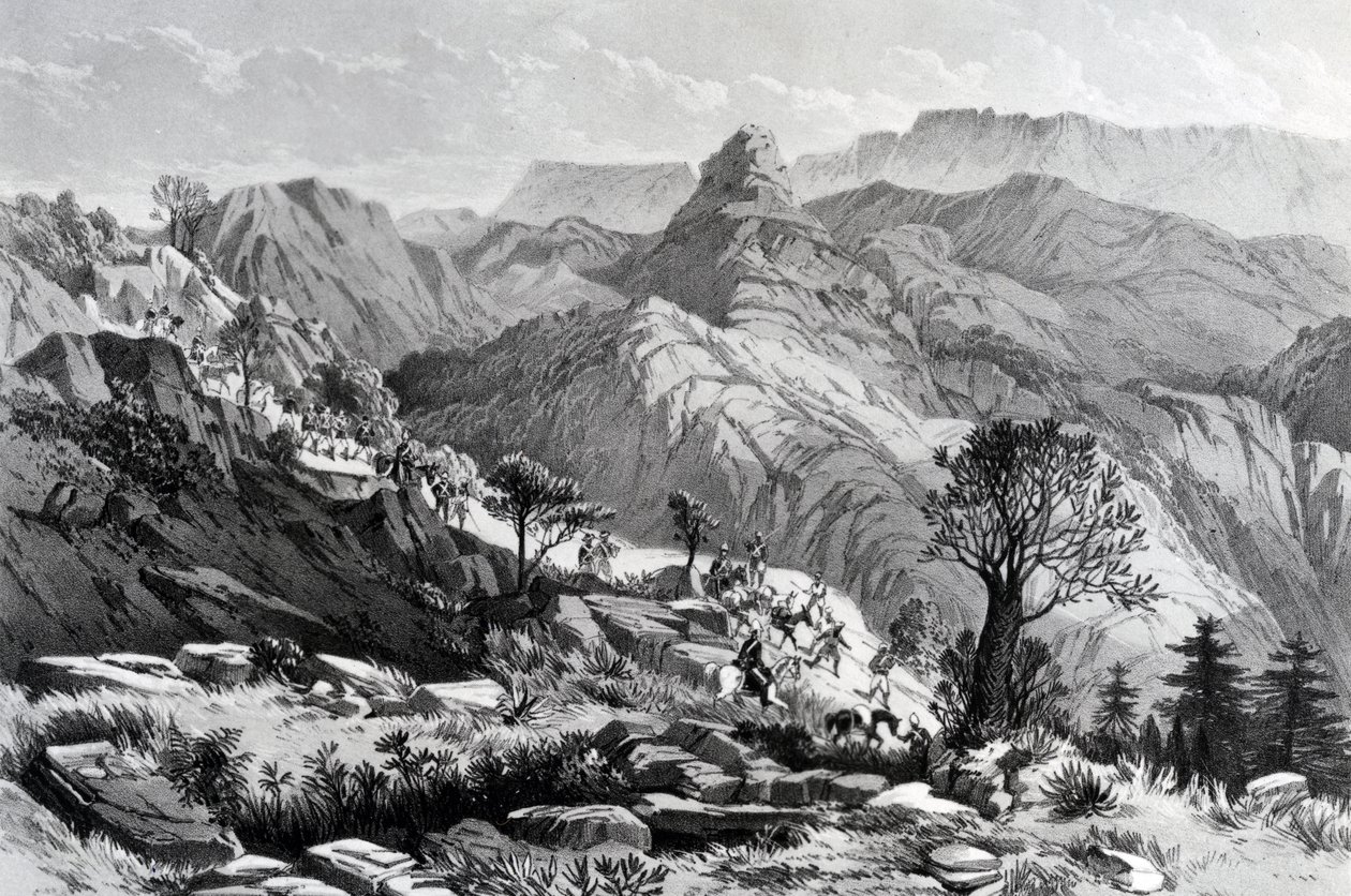 Dongolo melletti menetben, James Ferguson metszete, 1868 alkotó: Major A.G.F. Hogg
