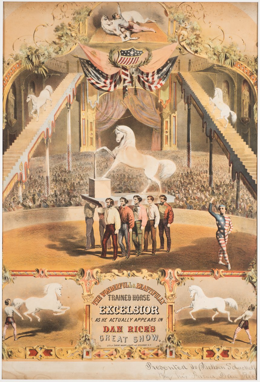 A csodálatos és gyönyörűen idomított ló, Excelsior, 1840 körül (chromolitho) alkotó: Major and Knapp Sarony
