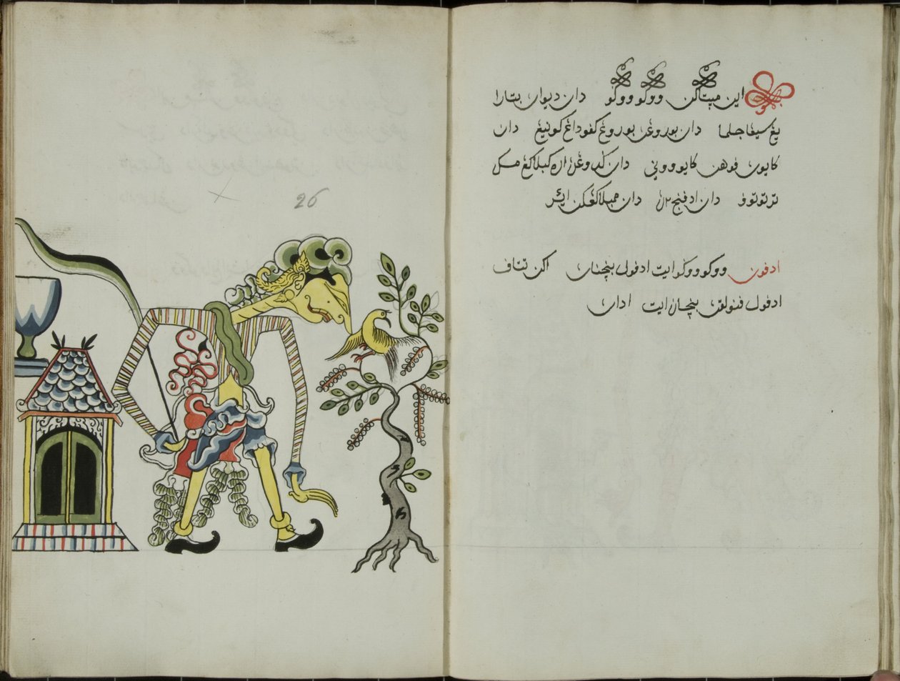 Kurkuma Java, MS 41 p. 52, 26. kép, 1830 alkotó: Malay Malay