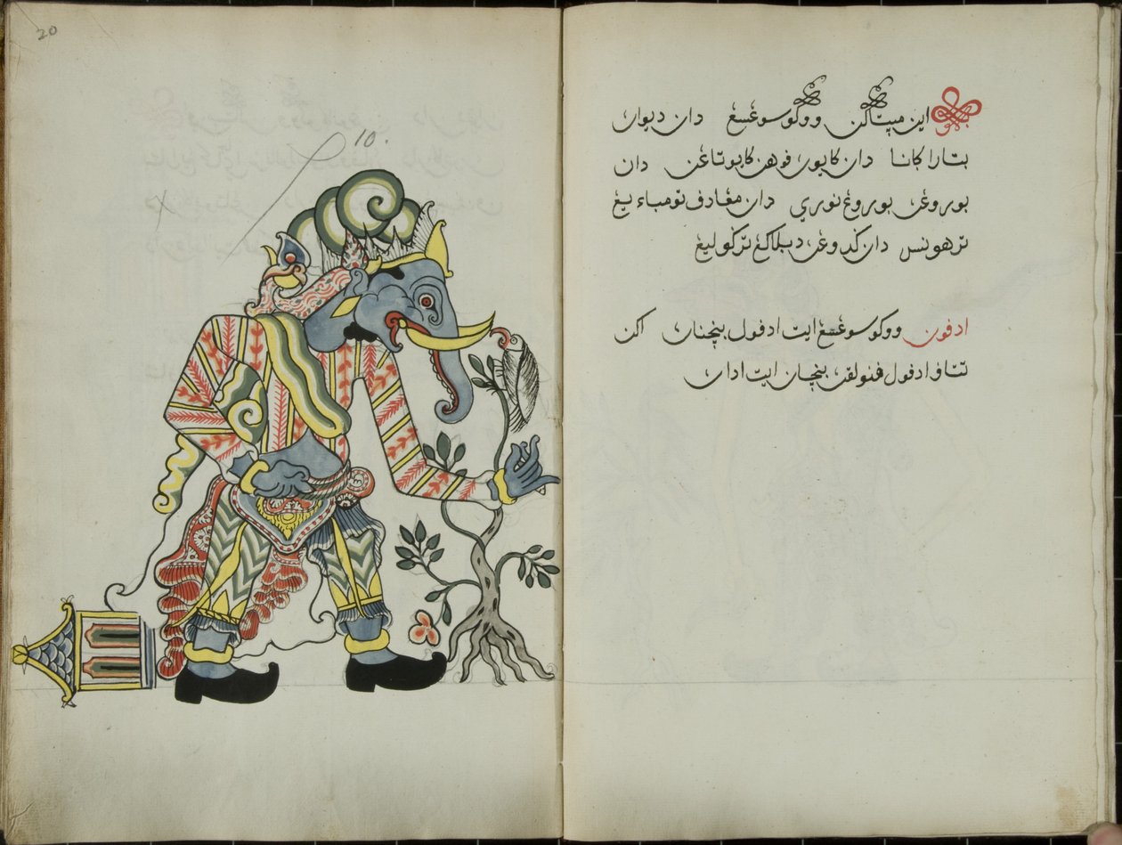 Kurkuma Java, MS 41 p. 20, 10. kép, 1830 alkotó: Malay Malay