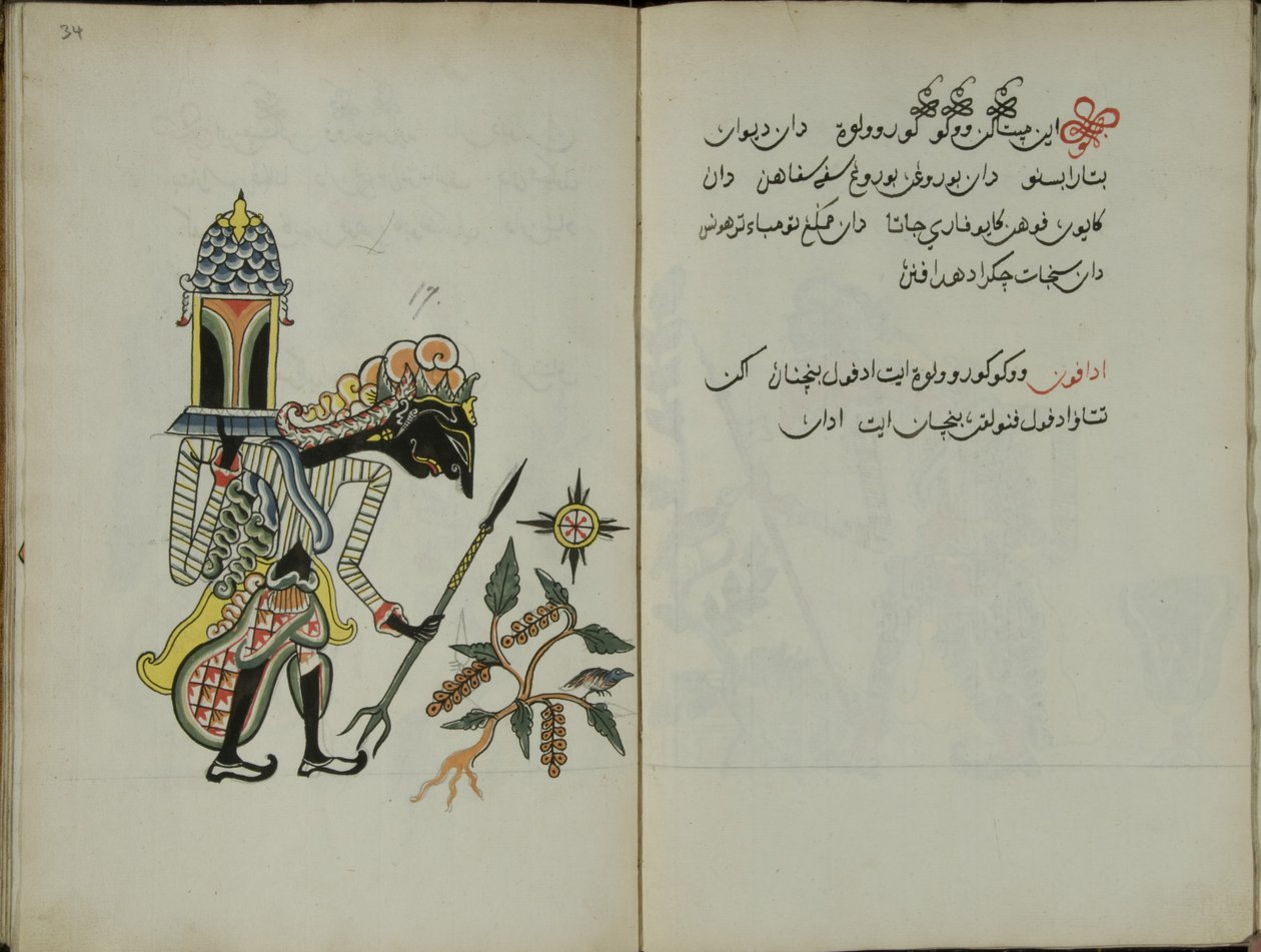 Kurkuma Java, MS 41 p. 34, 17. kép, 1830 alkotó: Malay Malay