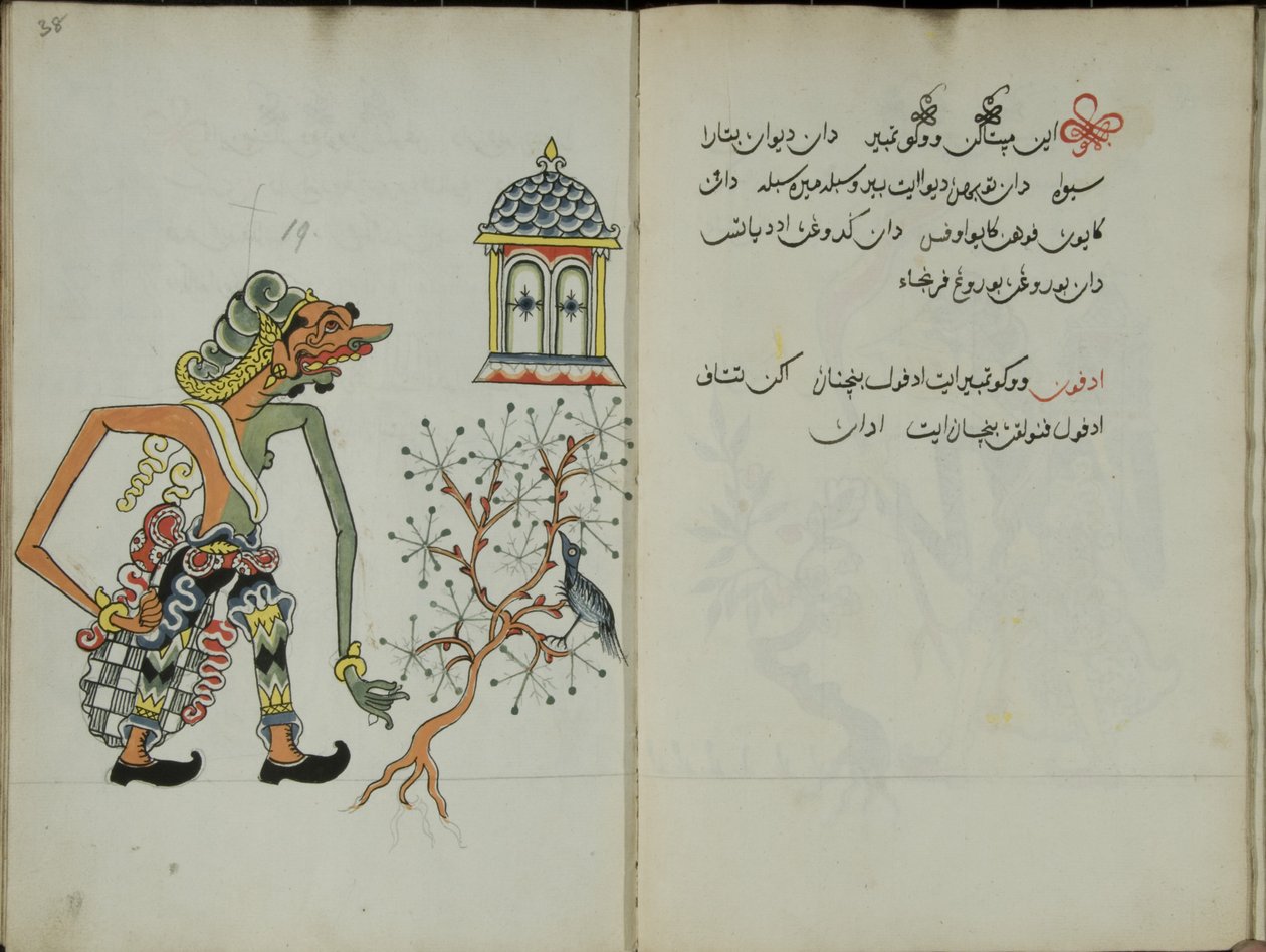 Kurkuma Java, MS 41 p. 38, 19. kép, 1830 alkotó: Malay Malay