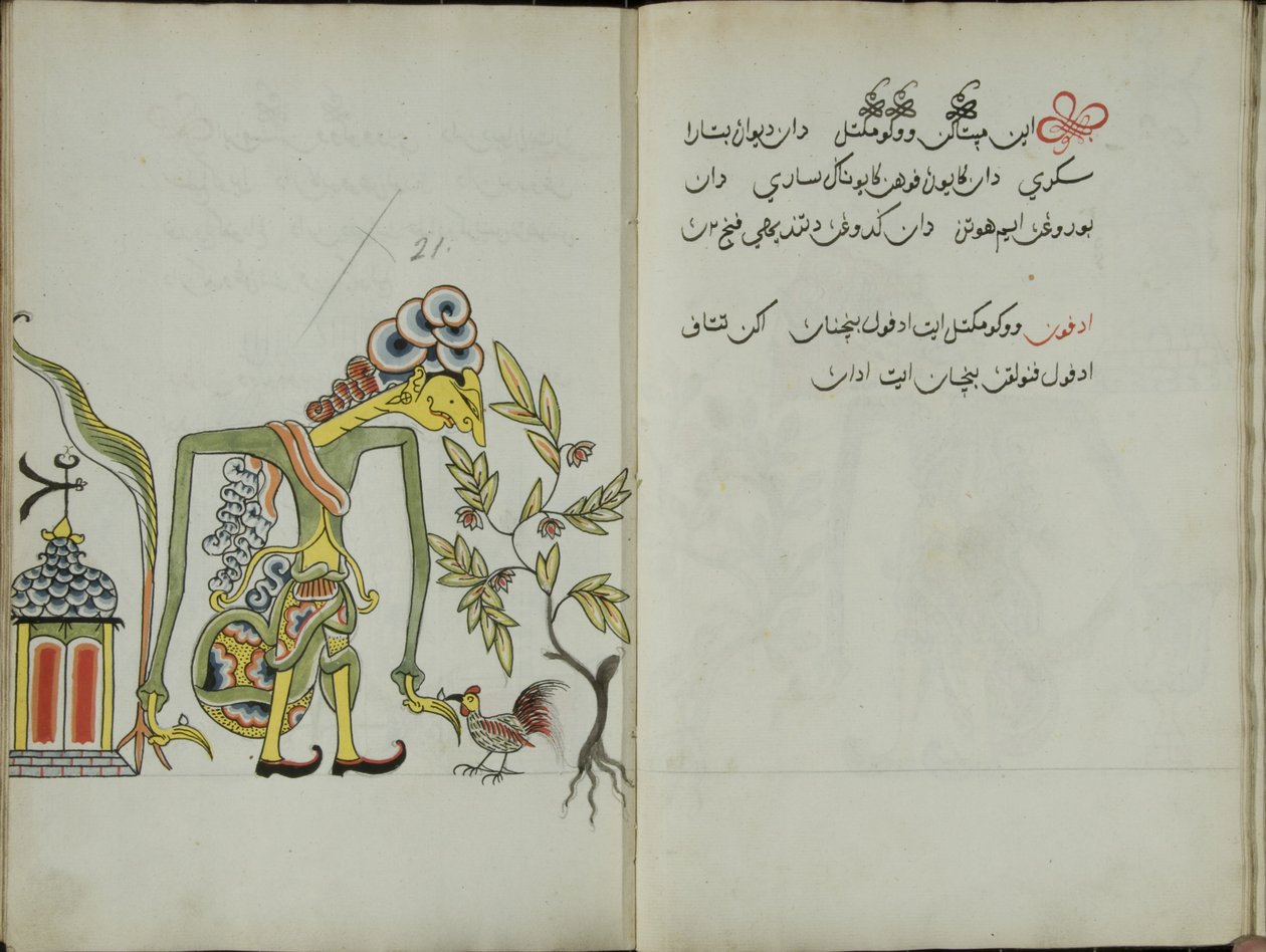Kurkuma Java, MS 41 p. 42, 21. kép, 1830 alkotó: Malay Malay