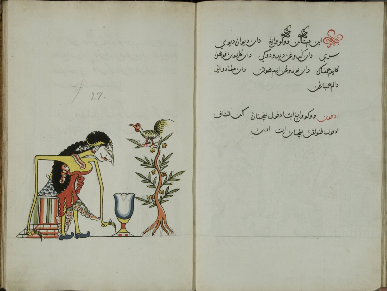 Kurkuma Java, MS 41 p. 54, 27. kép, 1830 alkotó: Malay Malay