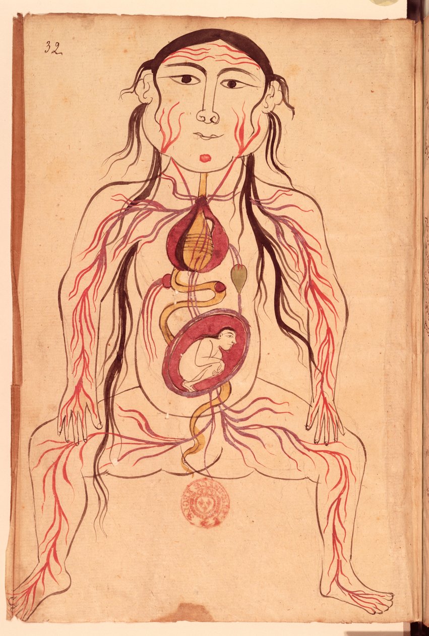 Ms Persan 151 Fol.32 Egy nő és magzata anatómiai diagramja alkotó: Mansour b. Eliyas Chirazi