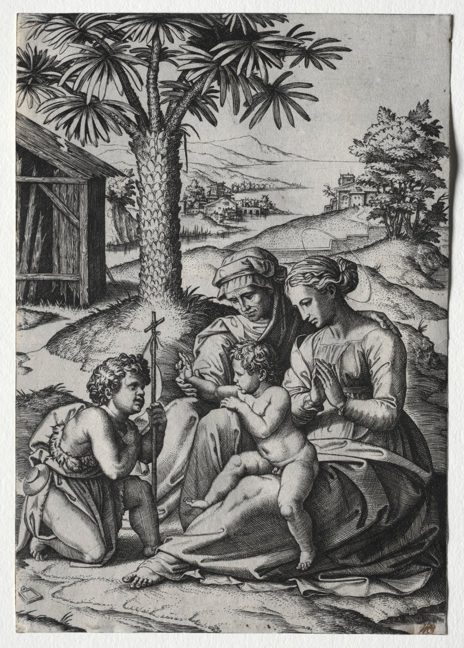 Pálmafa Madonna. alkotó: Marcantonio Raimondi
