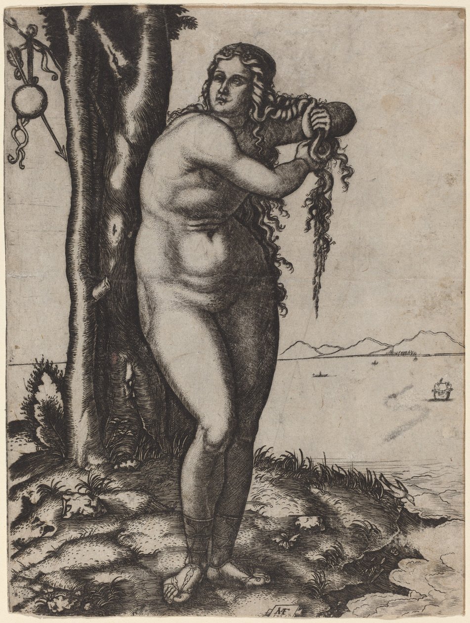 Vénusz születése alkotó: Marcantonio Raimondi