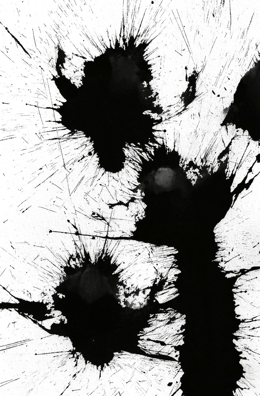 Blot, 2014 (tinta, papír) alkotó: Marco Campedelli