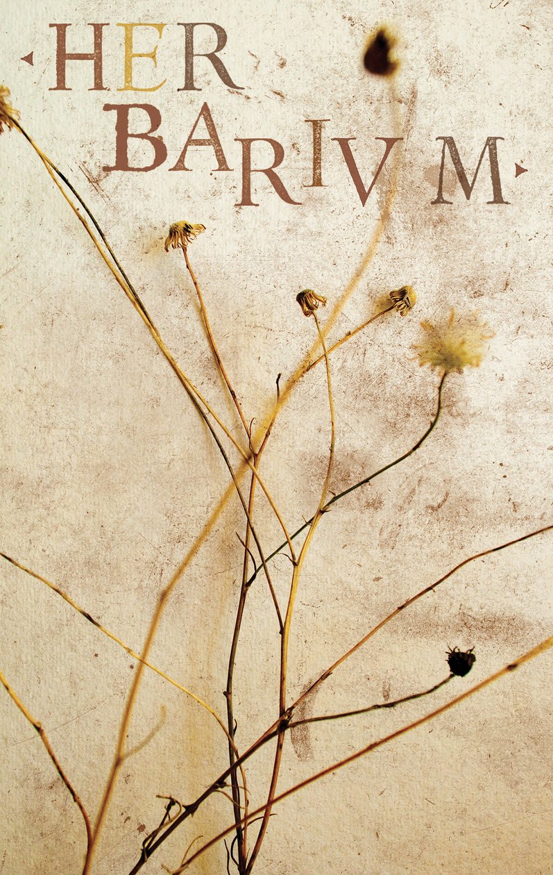 Herbárium, 2014 (vegyes technika) alkotó: Marco Campedelli