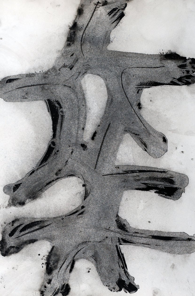 Ramas, 2014 (tinta, papír) alkotó: Marco Campedelli