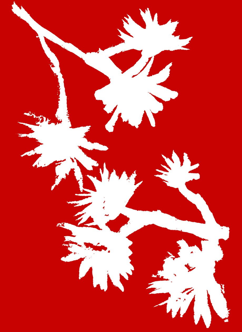 Succulent_1, 2022 (tinta, papír) alkotó: Marco Campedelli