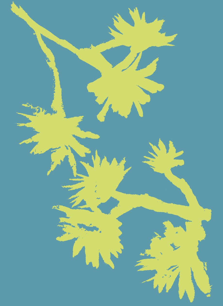 Succulent_2, 2022 (tinta, papír) alkotó: Marco Campedelli