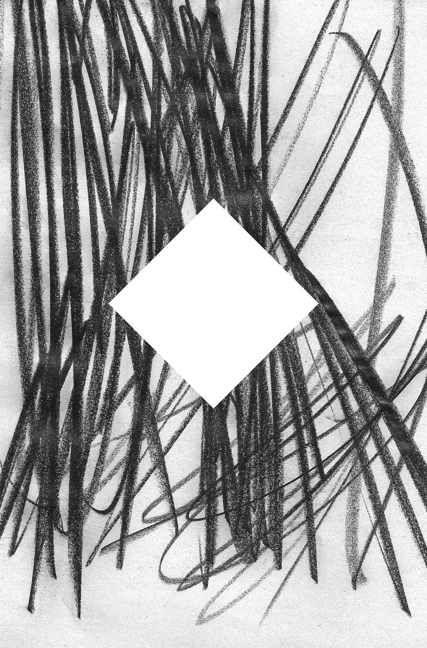 Cím nélkül, 2014 (grafit, papír) alkotó: Marco Campedelli