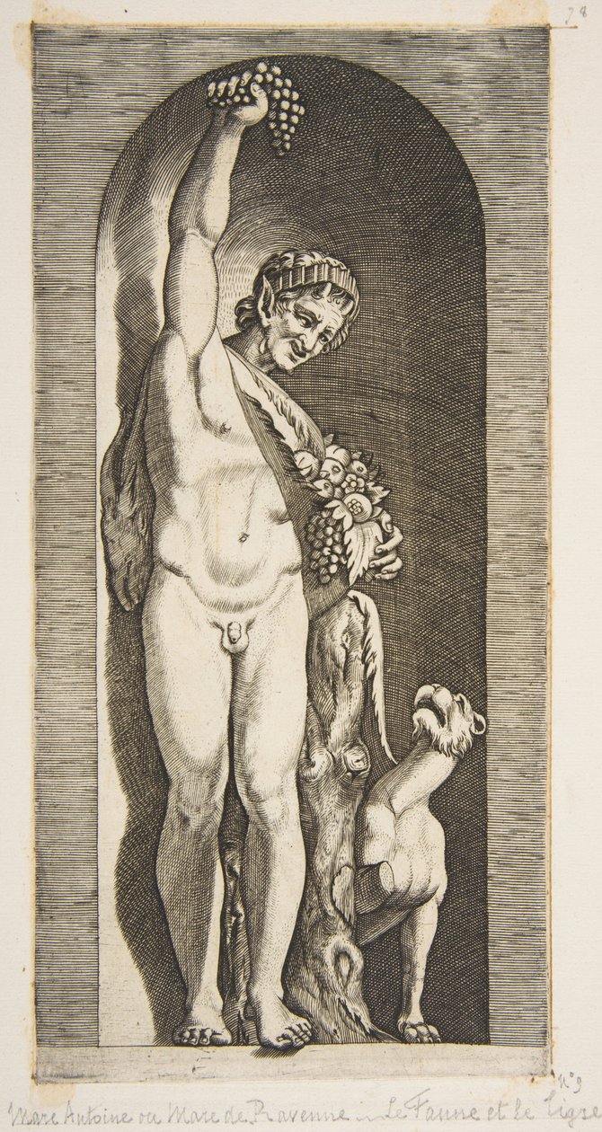 Egy fülkében álló faun jobb kezével egy szőlőfürtöt tart a magasban, és ..., kb. 1515-27. alkotó: Marco Dente