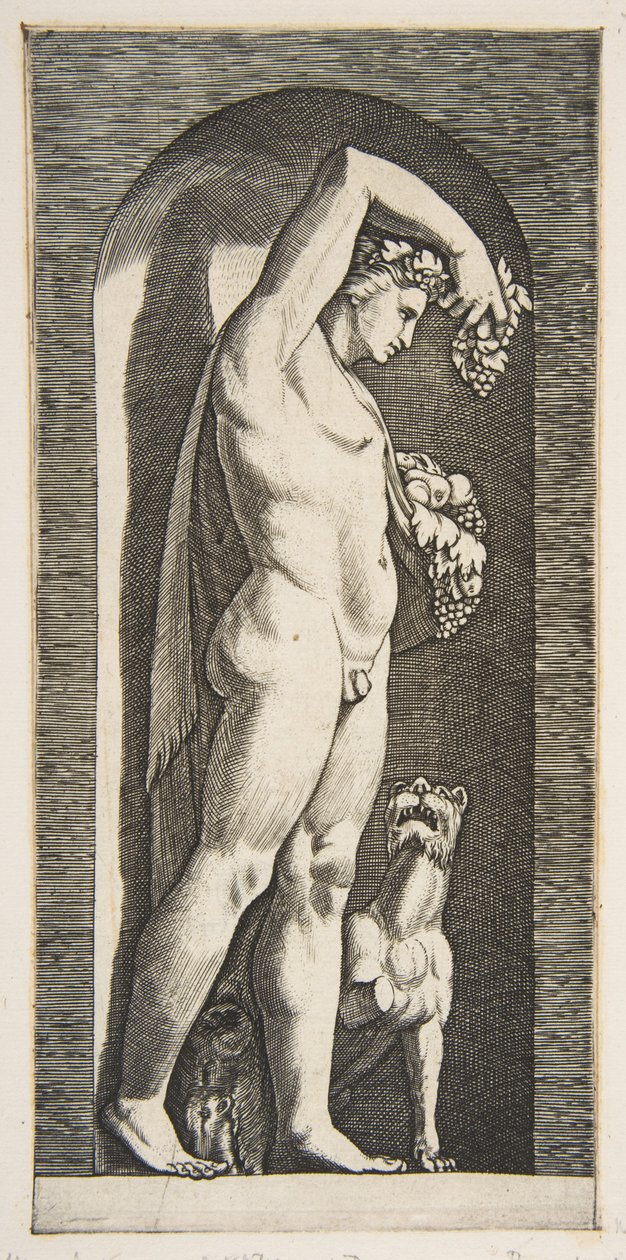 Bacchus egy fülkében áll, felemelt jobb kezében szőlőt, lében gyümölcsöt..., kb. 1515-27. alkotó: Marco Dente