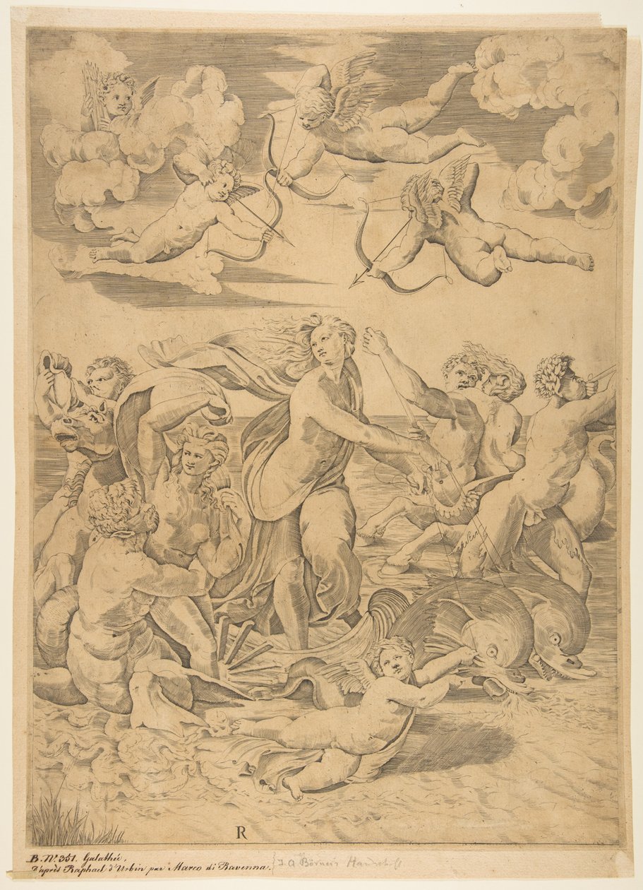 Galatea lovaglás egy kagylóban, amelyet delfinek húztak át a vízen, alatta egy Ámor és f..., kb. 1515-27. alkotó: Marco Dente