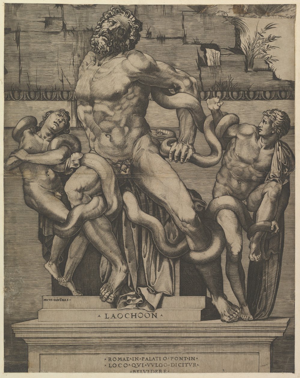 A római pompás tükre: Laocoon, 16. század. alkotó: Marco Dente