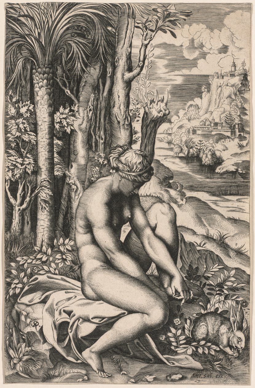 Rózsatövis által megsebesített Vénusz, c. 1516. alkotó: Marco Dente