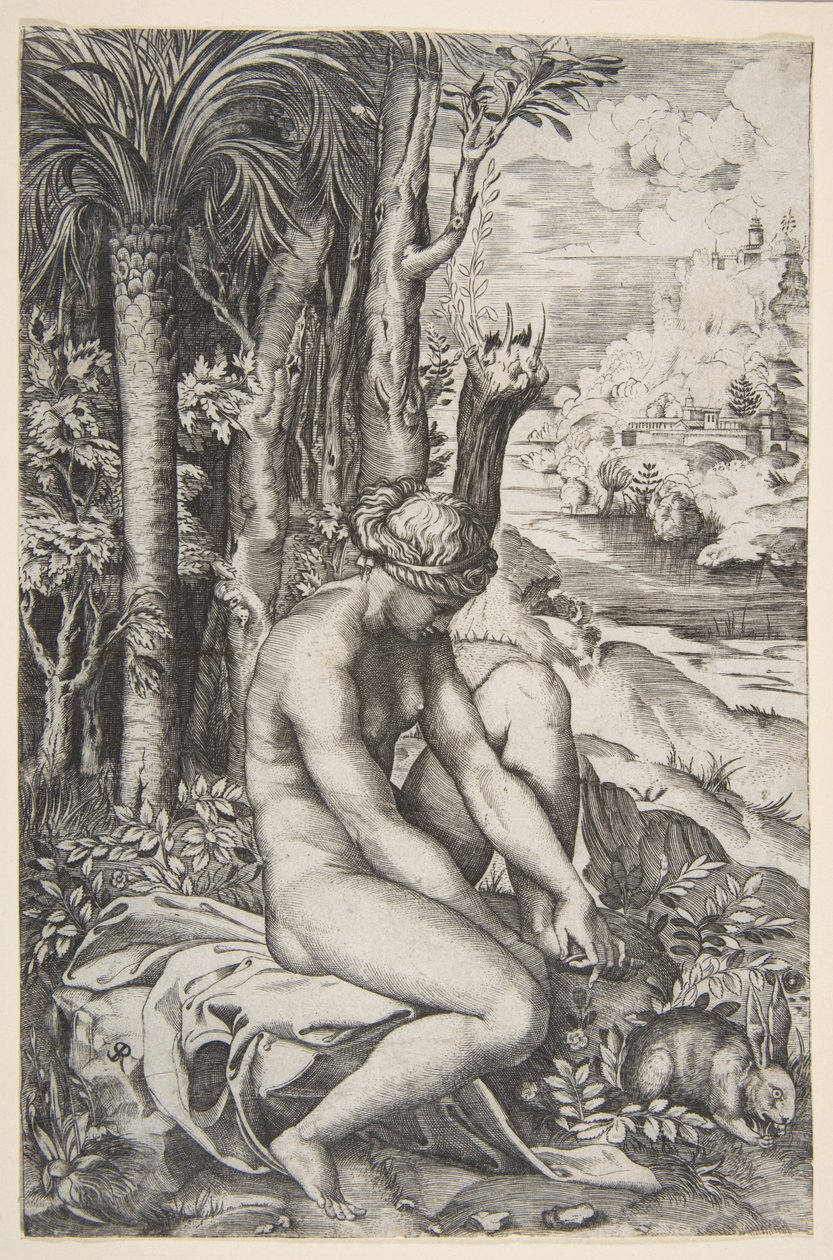 Vénusz tüskét távolít el a bal lábáról, miközben egy ruhán ül a fák mellett, egy ..., kb. 1515-27. alkotó: Marco Dente