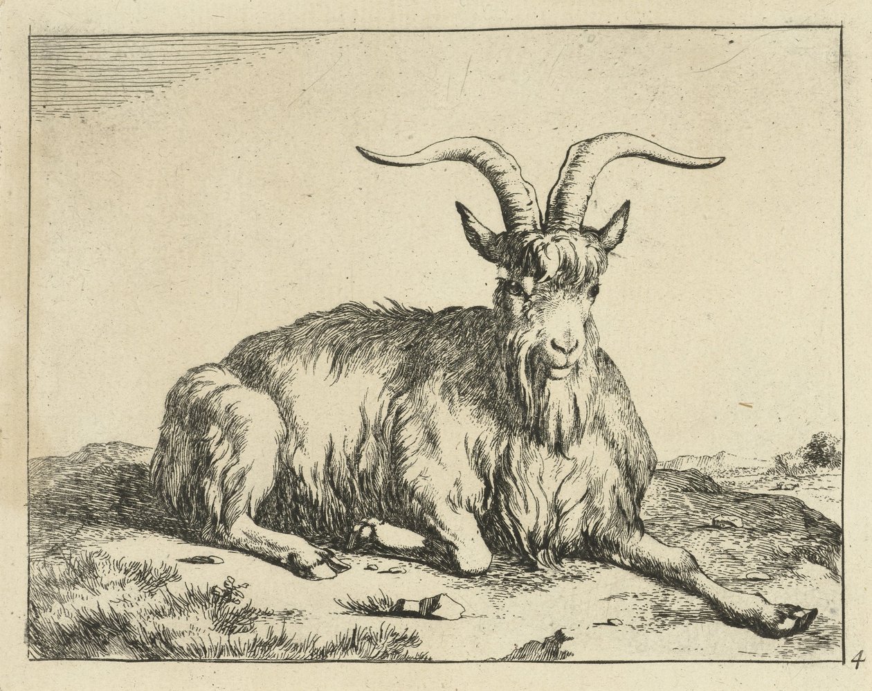 Fekvő kecske nyújtott mellső lábbal Goats and Bucks (sorozat címe) alkotó: Marcus de Bye