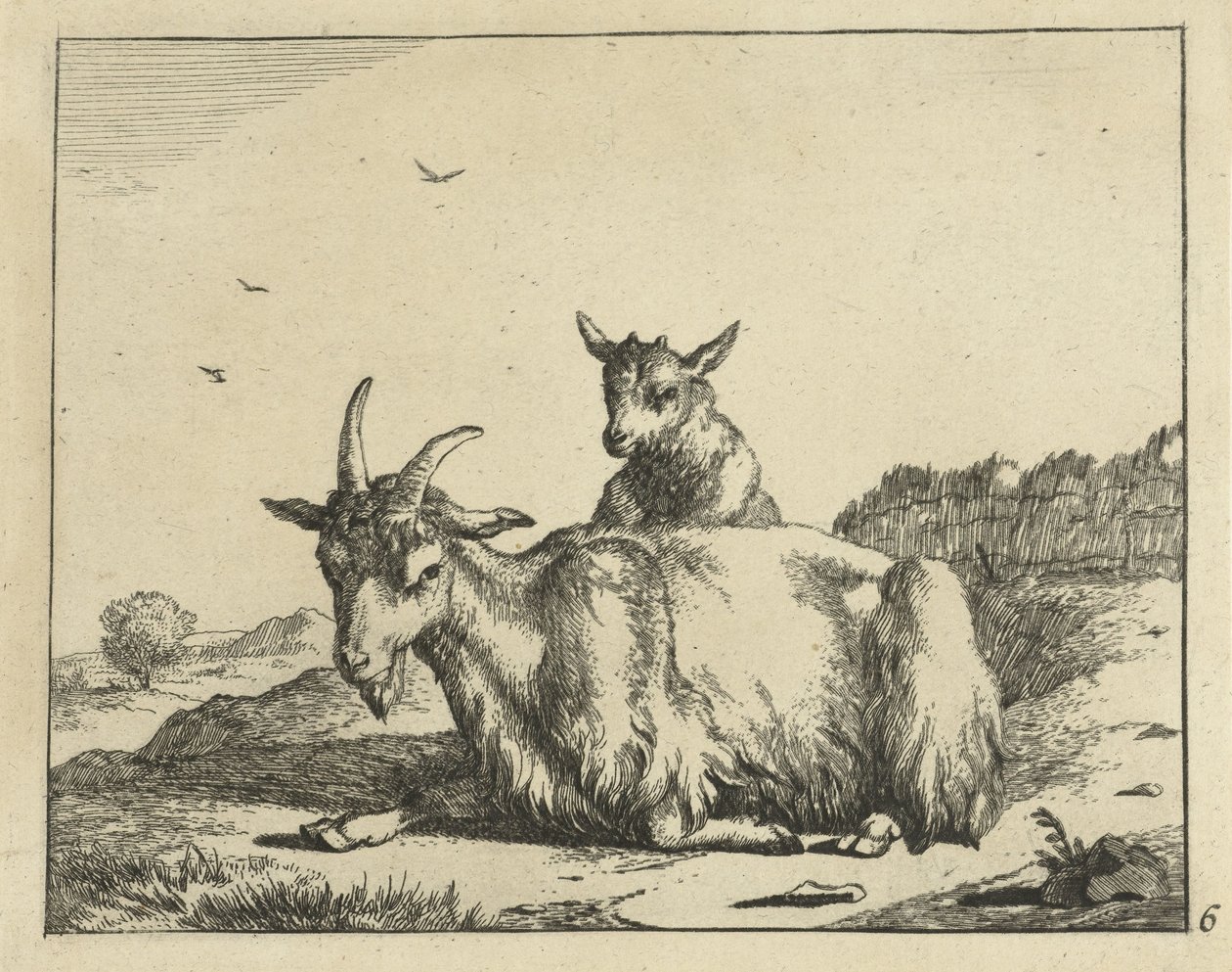 Fekvő kecske báránnyal Goats and Bucks (sorozat címe) alkotó: Marcus de Bye