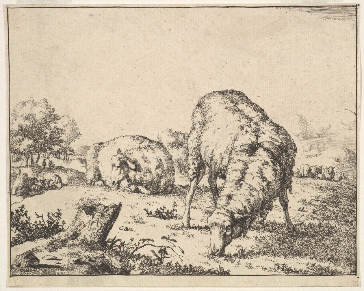 Juh, 16 tányéros készletből, 1664. alkotó: Marcus de Bye