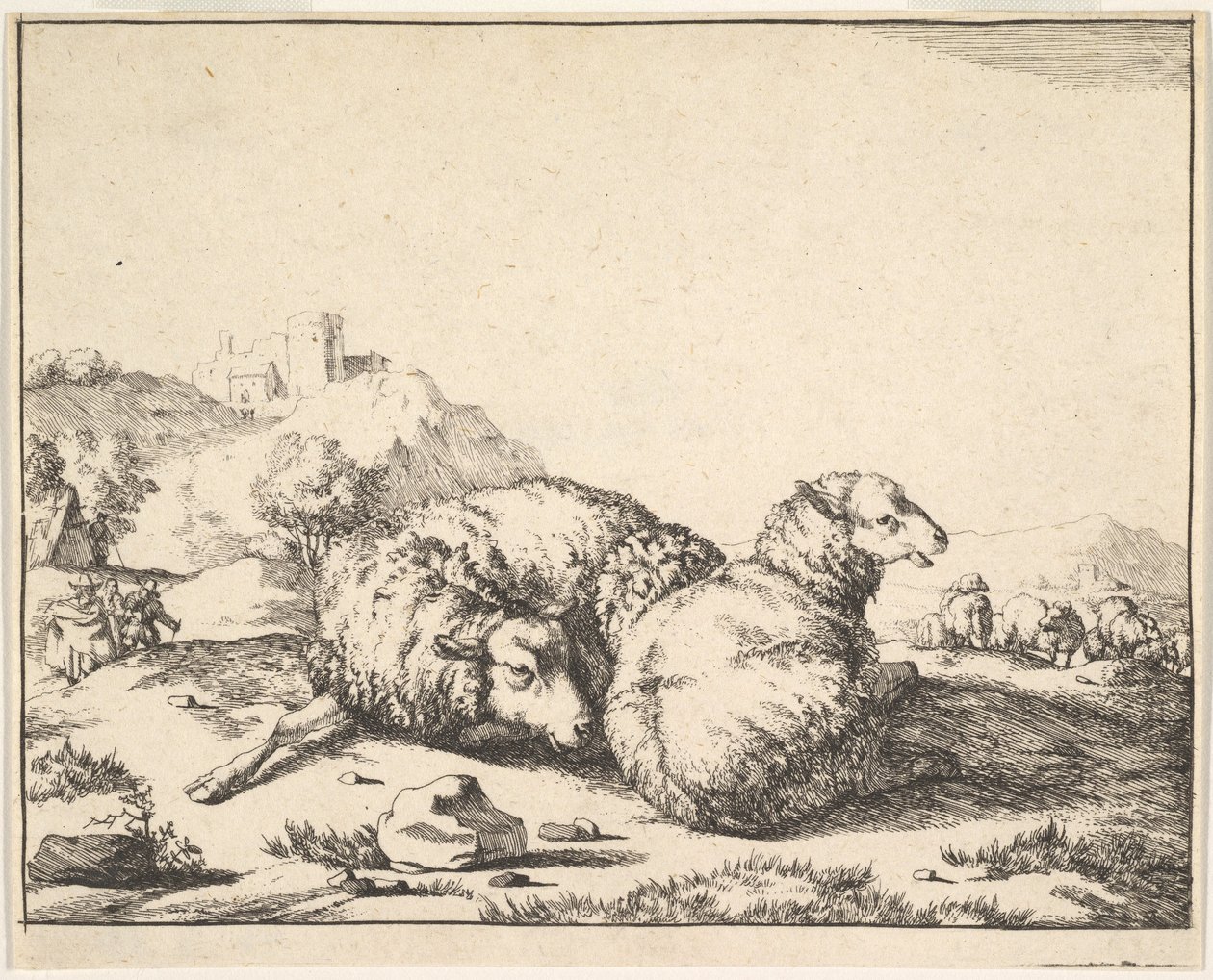 Juh, 16 tányéros készletből, 1664. alkotó: Marcus de Bye