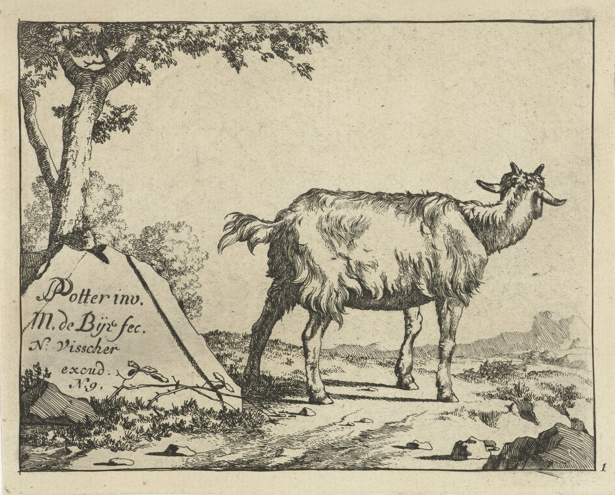 Hátulról nézve álló kecske Goats and Bucks (sorozat címe) alkotó: Marcus de Bye