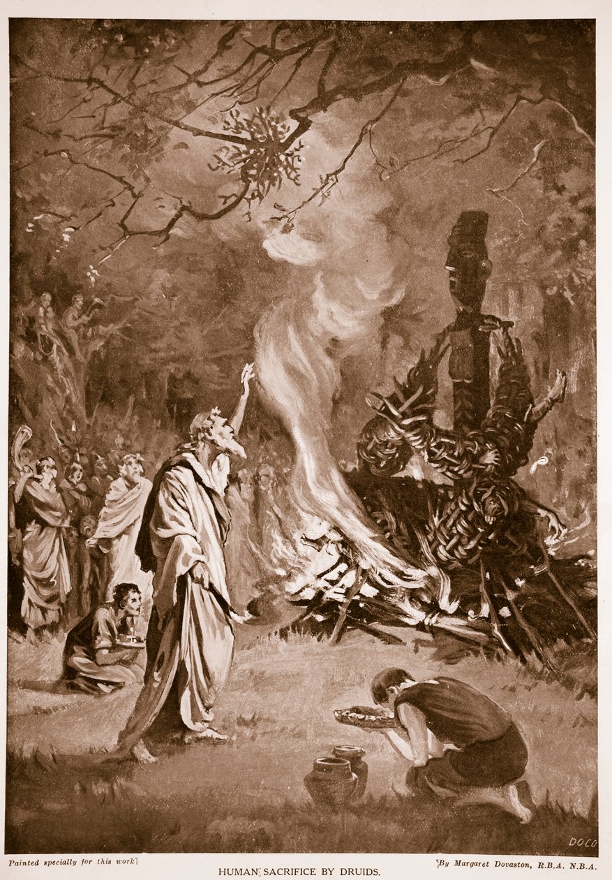 Emberáldozat druidák által, illusztráció a "Hutchison