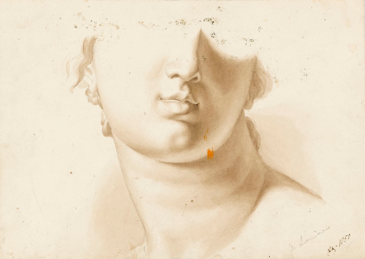 Tanulmány egy emberi arc alsó feléről, valószínűleg egy szoborról. alkotó: Margaret Louisa Herschel