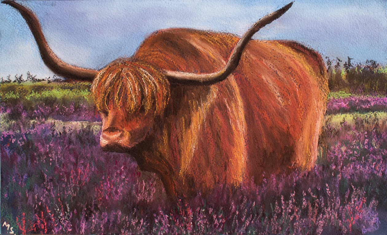 Highland Bull skót bikában, 2018 (pasztell) alkotó: Margo Starkey