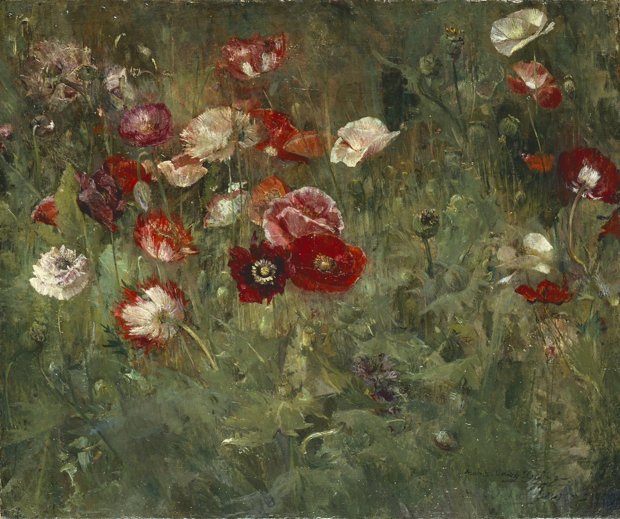 Egy pipacságy, 1909 alkotó: Maria Oakey Dewing