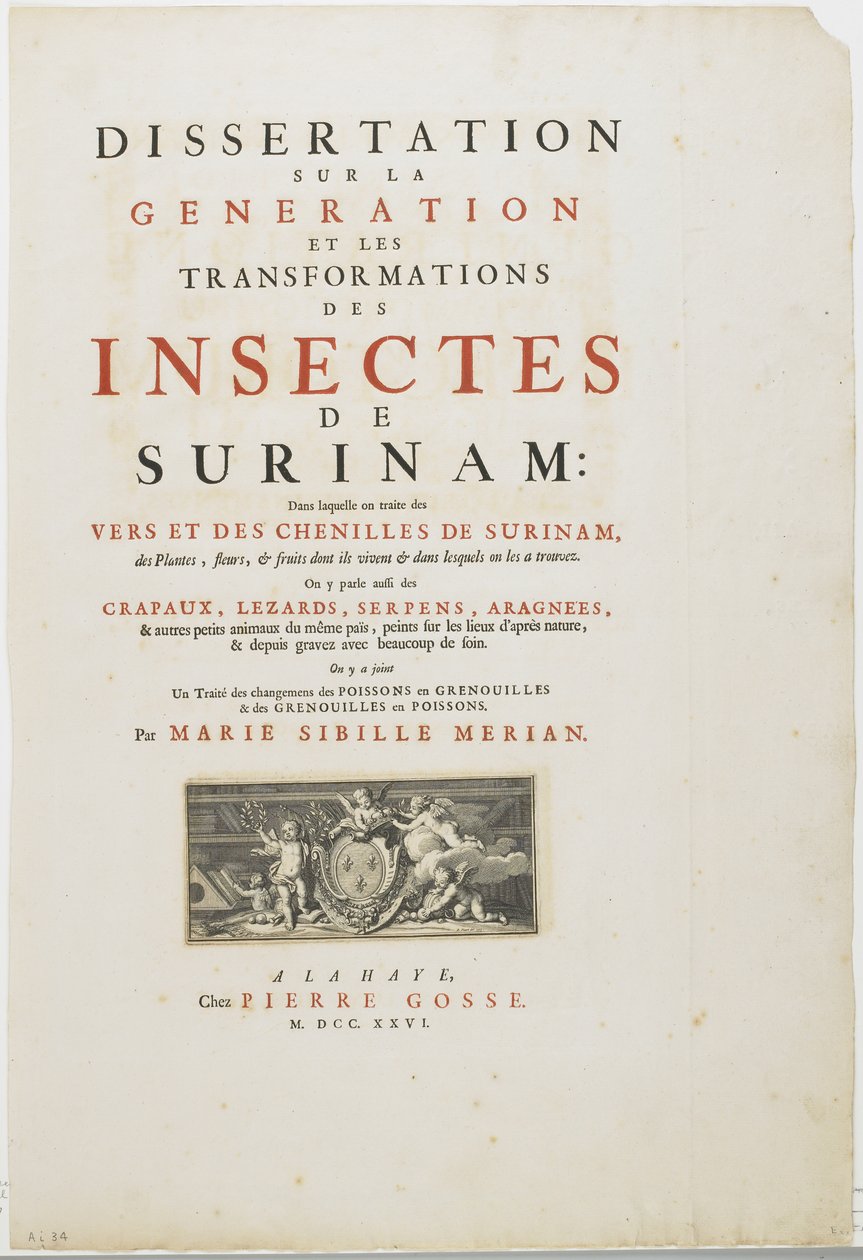 Címlap a Metamorphosis Insectorum Surinamensium című műből, 1726 (metszet és betűmetszet) alkotó: Maria Sibylla Merian