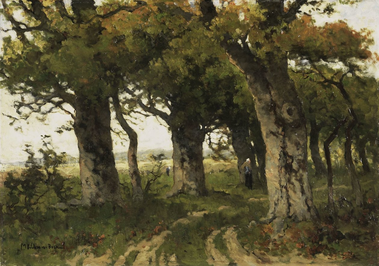 Avenue of Oaks késő nyáron alkotó: Maria Bilders van Bosse