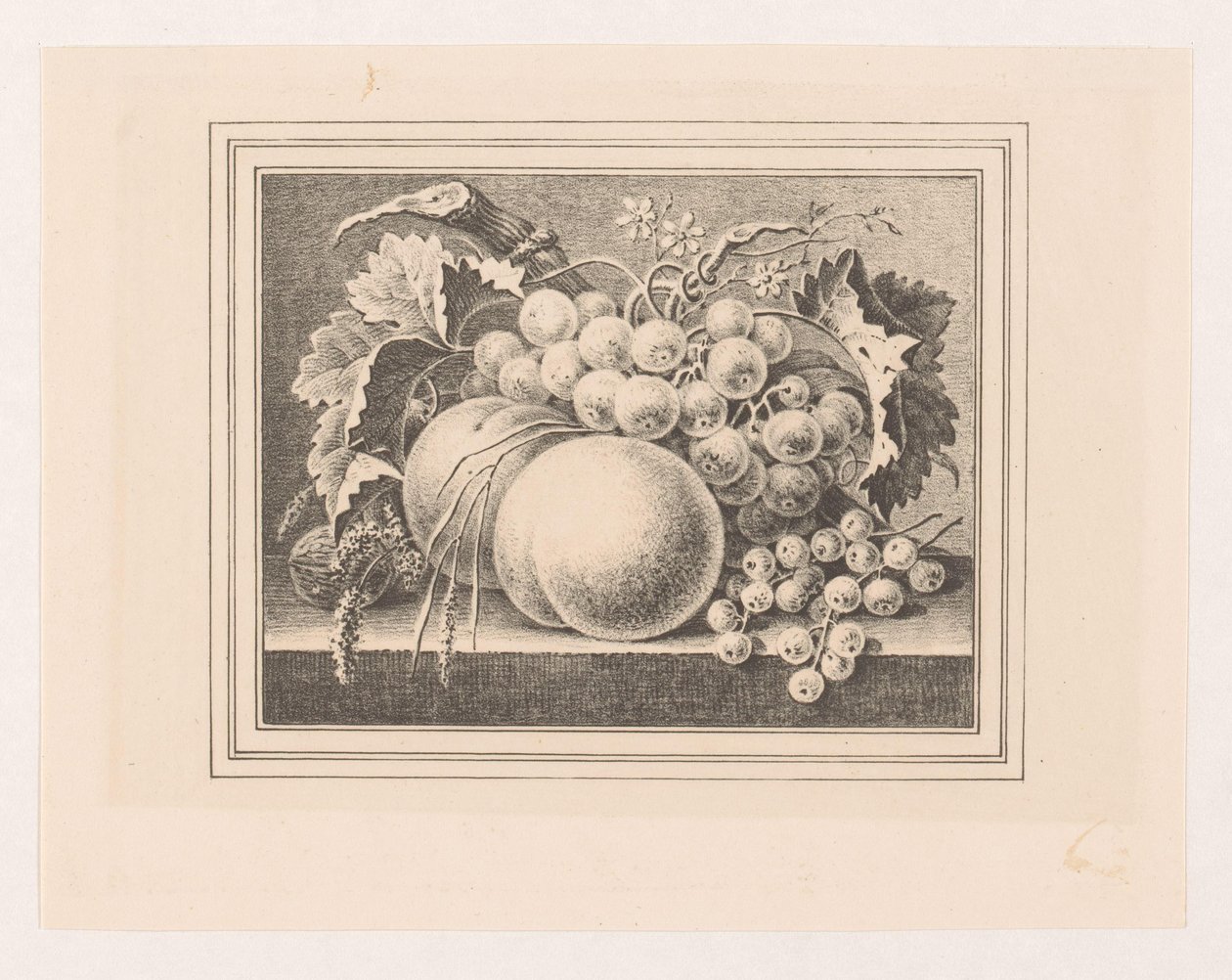 Összetétel gyümölcsökkel egy keretben alkotó: Maria Geertruida de Goeje Barbiers (attributed to)