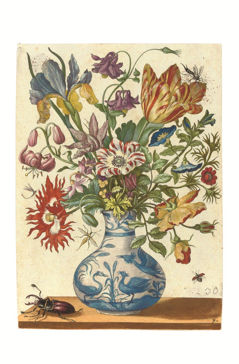 Tábla a Blumenbuchból (kézi színes metszet) alkotó: Maria Sibylla Graff Merian